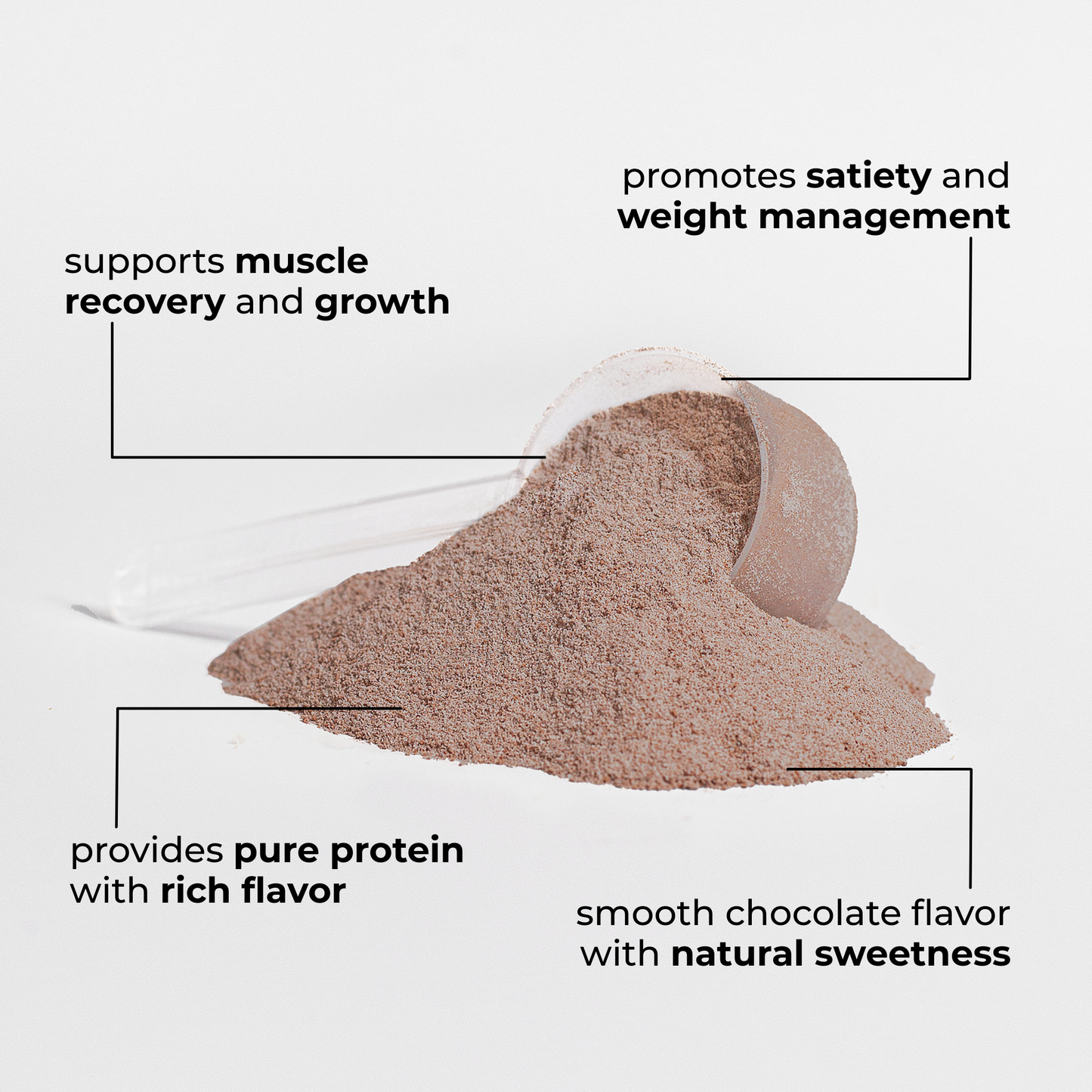 DAILY RESUPPLY 100% Whey Protein Isolate (Chocolate)