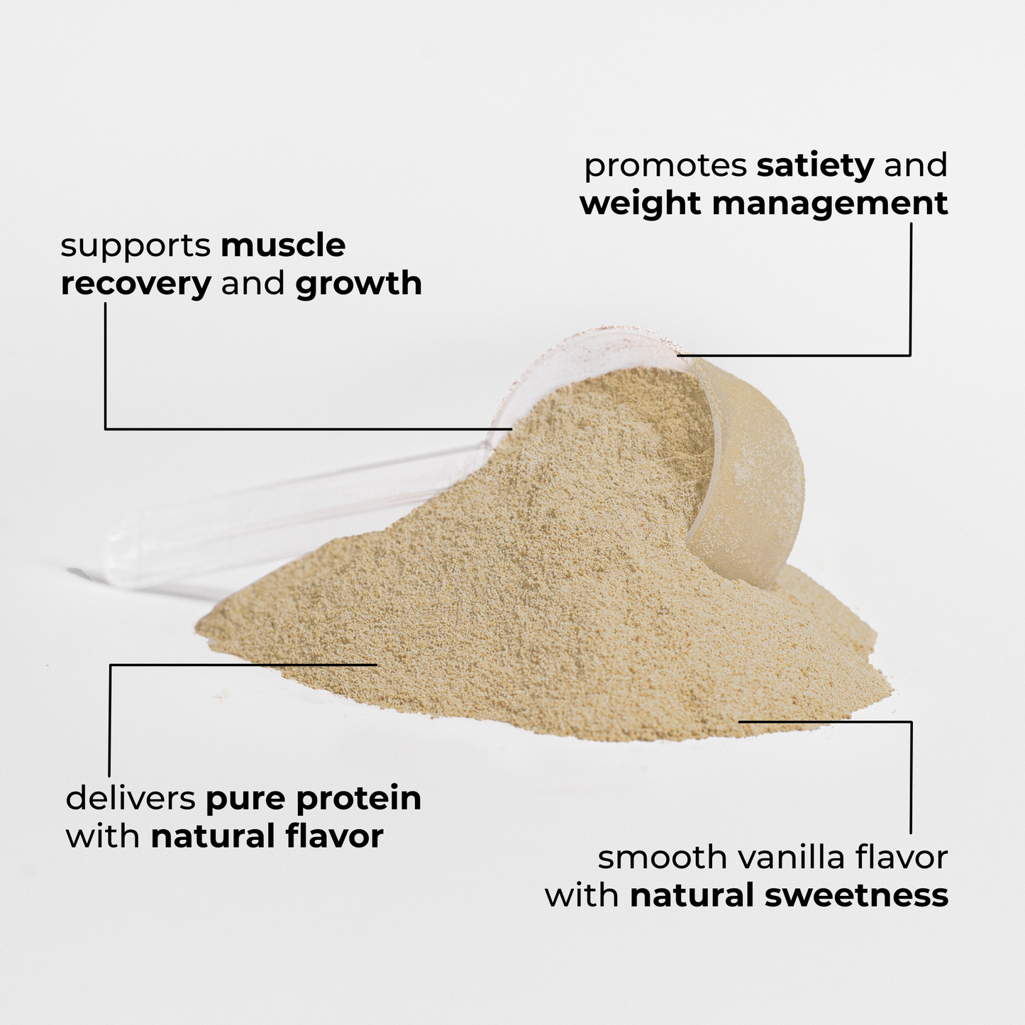 DAILY RESUPPLY 100% Whey Protein Isolate (Vanilla)