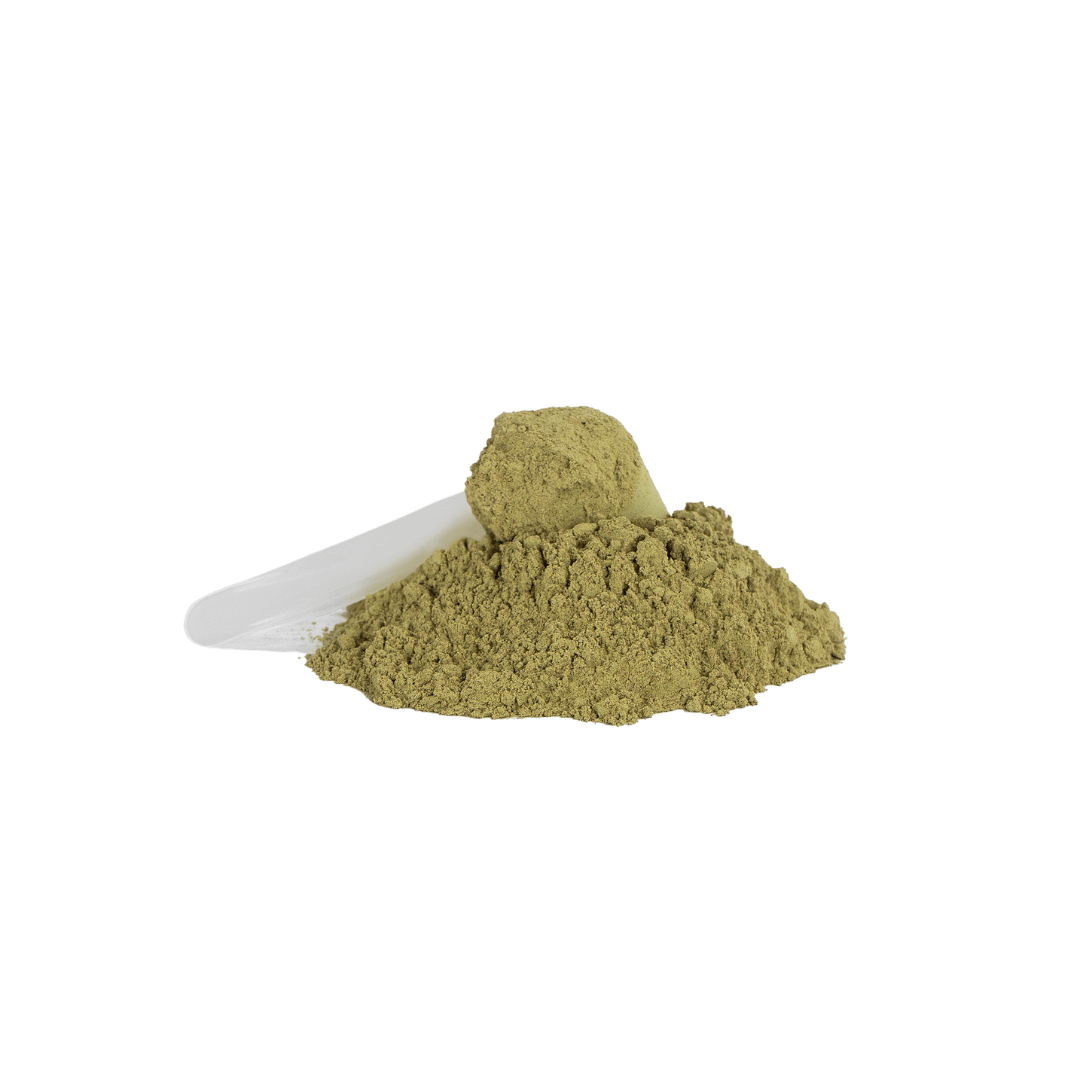 RESILIENCE Greens Superfood